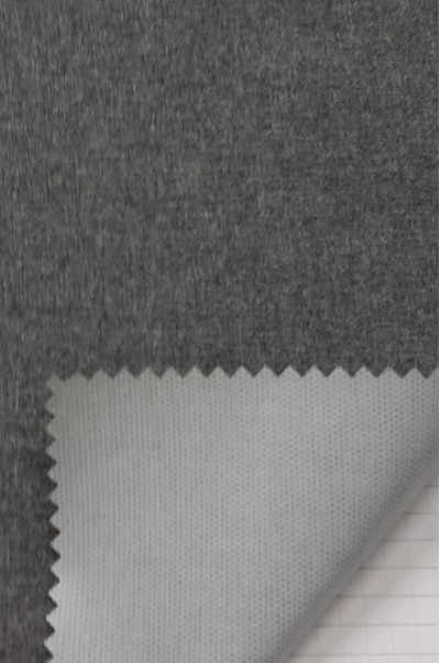 JS-GR  戶外面料-11#  染色  印膜透氣透濕 3000*3000   45度照